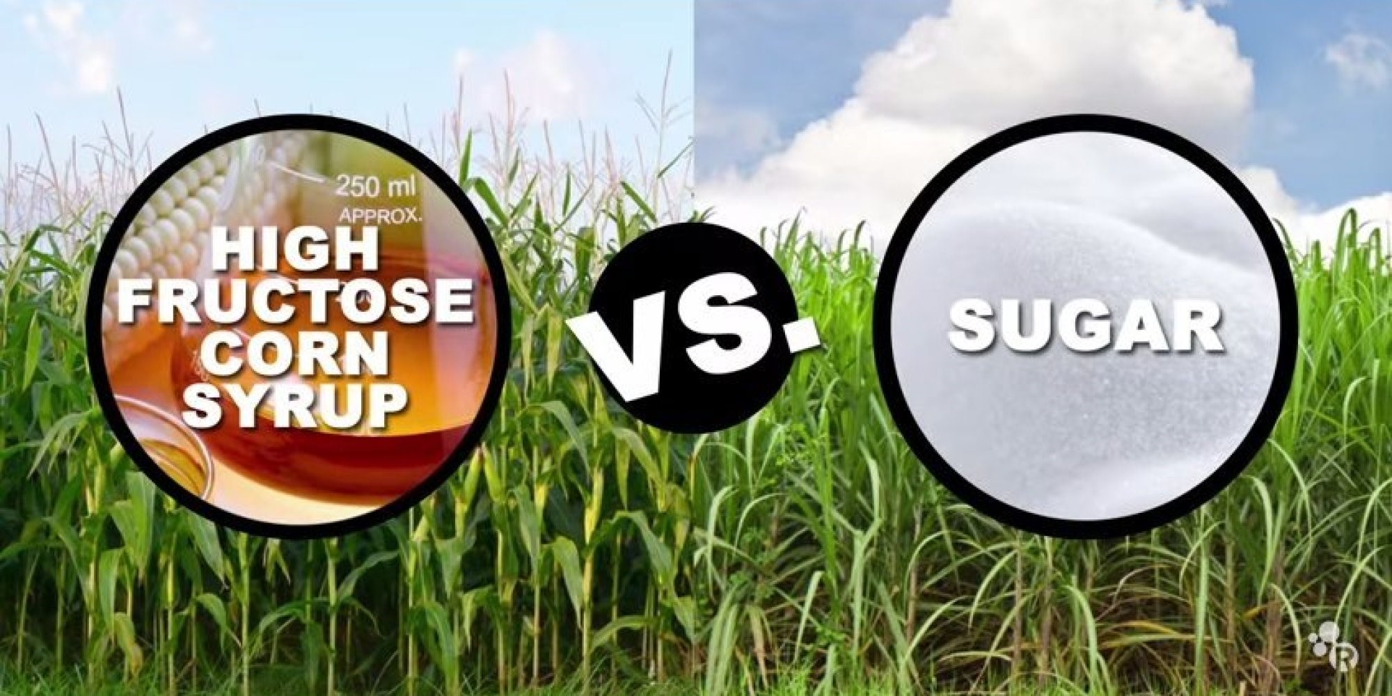 High Fructose Corn Syrup versus Sugar. Is one better or worse than the other? Here at Tognazzini, we’re going to discuss the pros and cons of both as it relates to the food service industry.